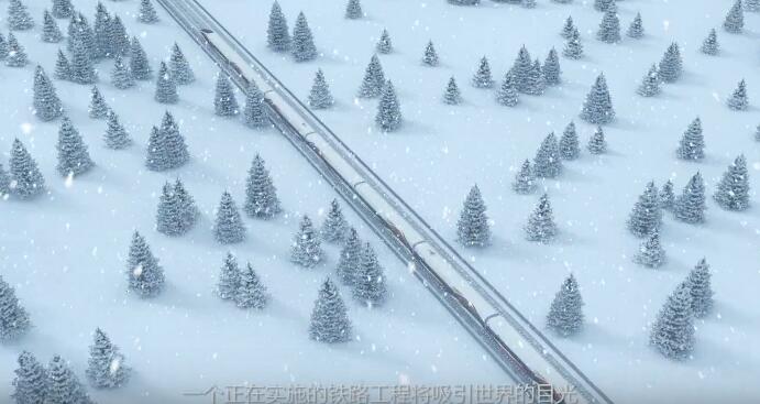 树起中国高铁新标杆中龙凤呈祥号行驶在冰天雪地